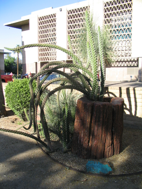 458x617 pixels (246K)